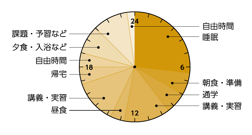 ある日のタイムスケジュール