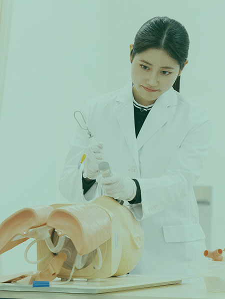 医学部
