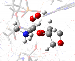 Fig_ribosome.png