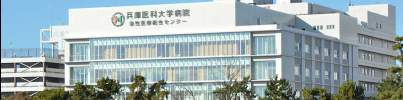 hcm_14.jpg
