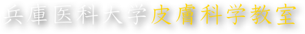 兵庫医科大学皮膚科学教室