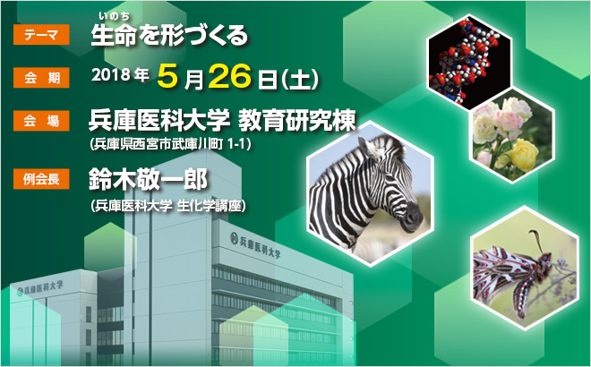 【テーマ】生命を形づくる　【会期】2018年5月26日（土）　【会場】兵庫医科大学 教育研究棟（兵庫県西宮市武庫川町1-1）　【例会長】鈴木敬一郎（兵庫医科大学 生化学講座）