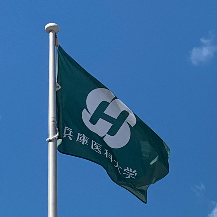 2024年10月