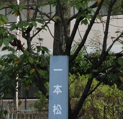 2024年10月