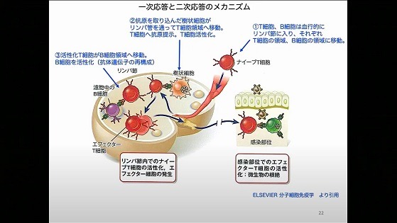 模擬授業「ワクチンから学ぶ免疫の仕組み」