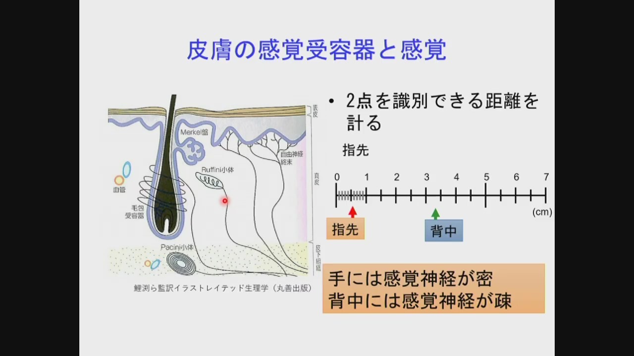 授模擬授「感覚の神経伝達機構-脳から見た感覚の不思議と痛み-」